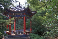 IMG_4870_ToneMapping