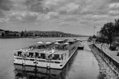 IMG_2031_2_fused