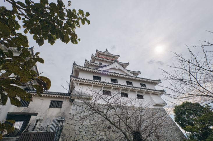Japonský hrad, japonská architektura